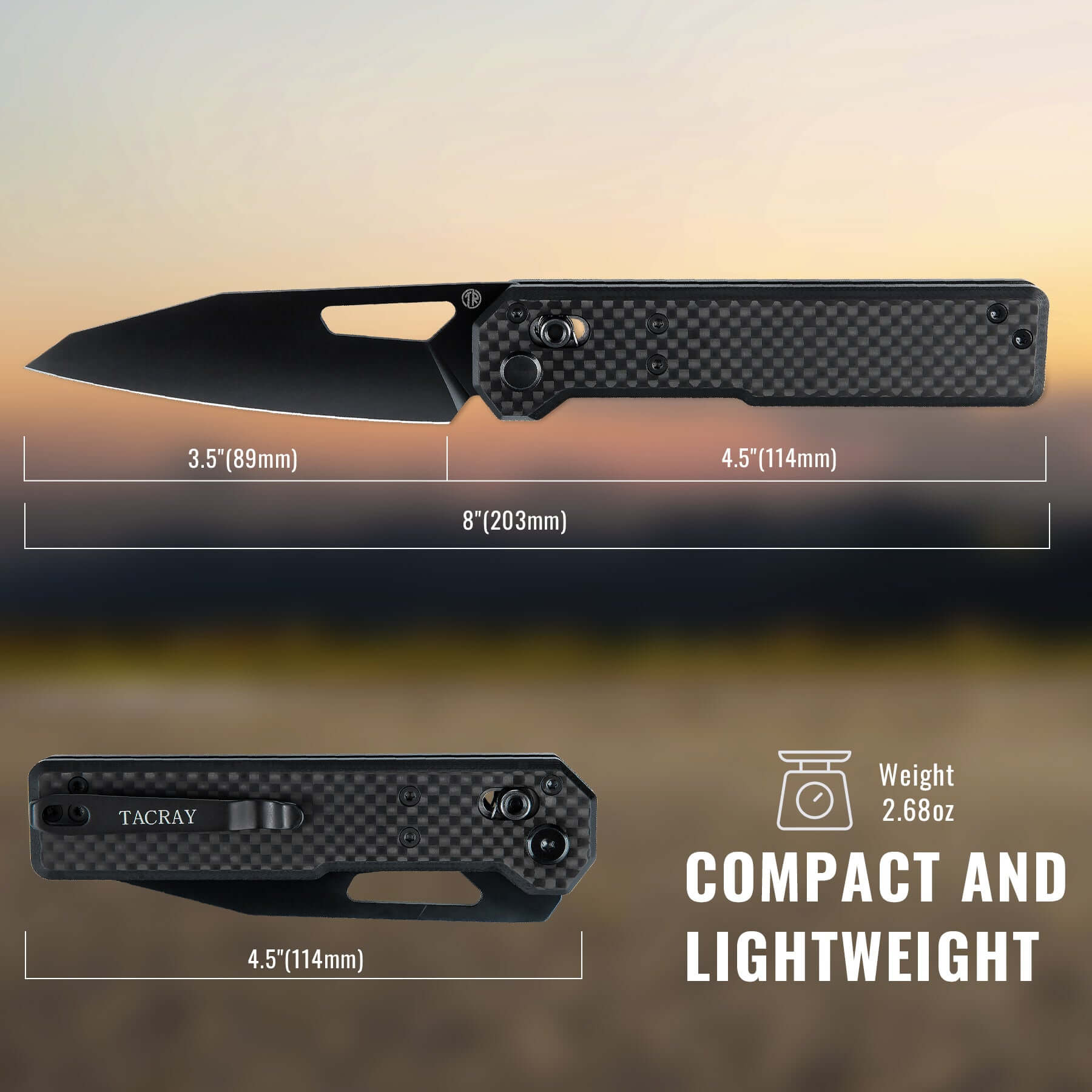 TACRAY Tarcus Folding Knife with D2 Steel Blade, Black PVD Coating, G10/Carbon Fiber Handle